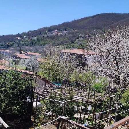 Apartamento Casa Vacanze “Tra Cielo E Mare” Agerola Exterior foto