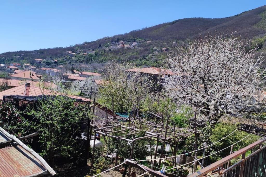 Apartamento Casa Vacanze “Tra Cielo E Mare” Agerola Exterior foto